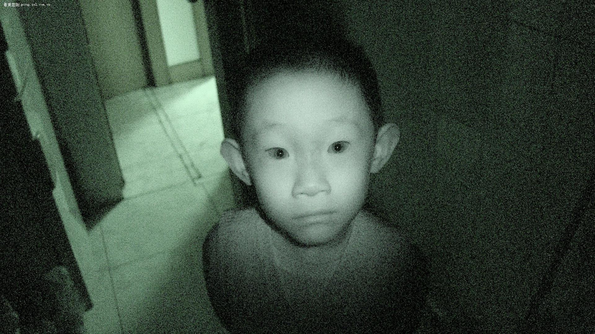 狗的眼睛为什么能夜视?-狗的眼睛为什么有时会