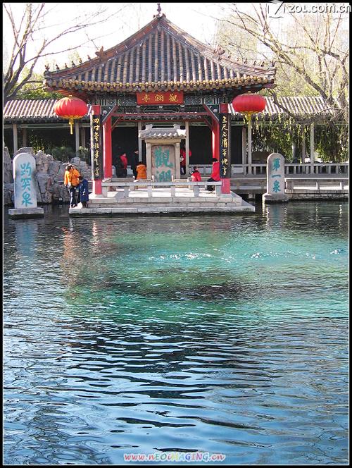 元旦随拍小景