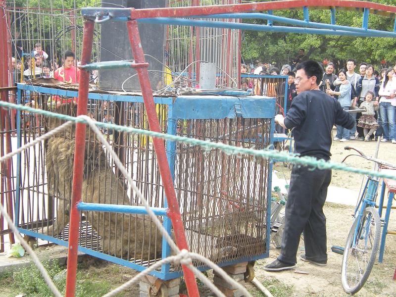 cHMz6ay85bGL6a2U5b2xNeaUu eVpQ==_迅雷 兽皇图片大全: 【美图】迅雷 兽皇 - 日本兽皇 ...