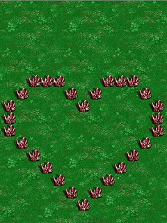 再发精美动态待机图片(240*320)!