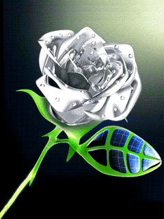 240_320竖版 竖屏gif 动态图 动图